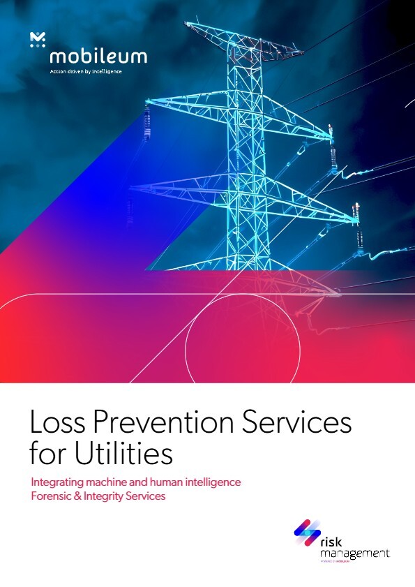 Loss Prevention Services for Utilities