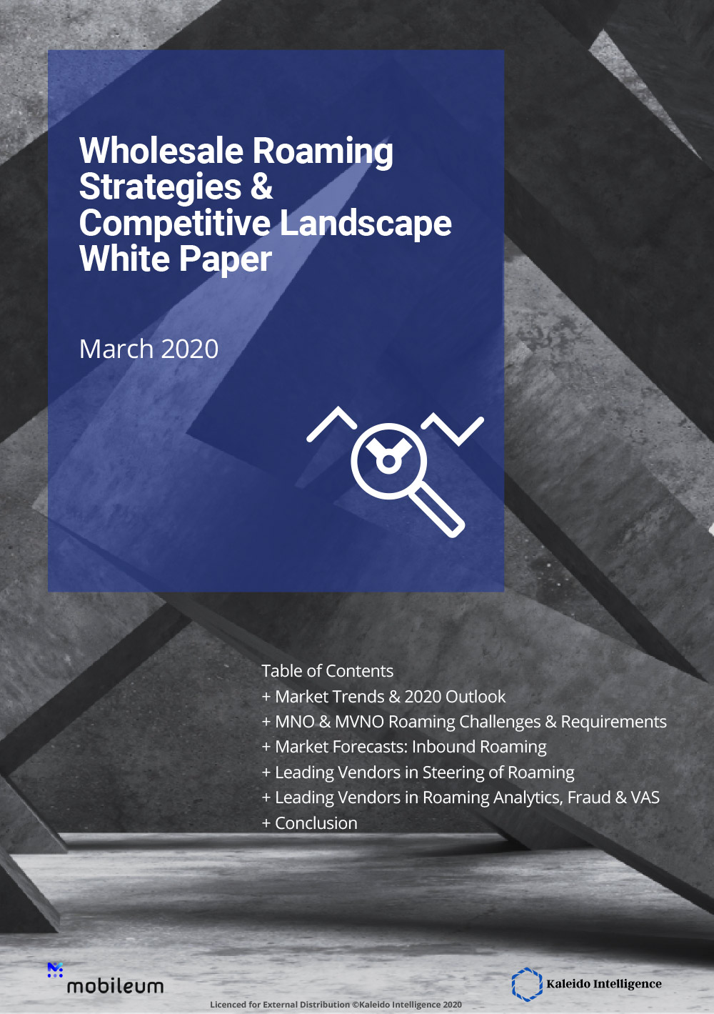 Kaleido_Roaming_Strategies_White_Paper_Mobileum_Distribution_March2020